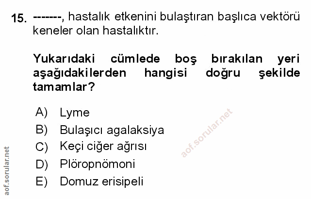 Soru 15
