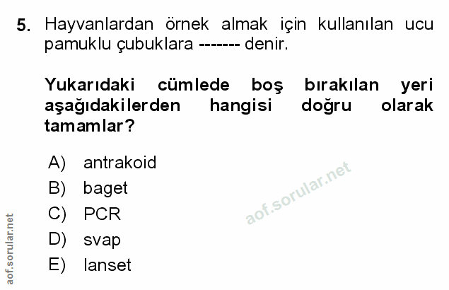 Soru 5