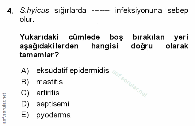 Soru 4