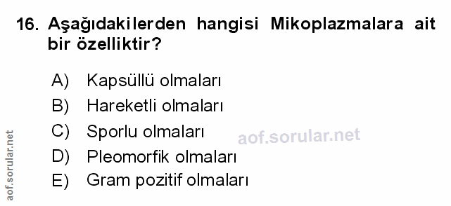 Soru 16