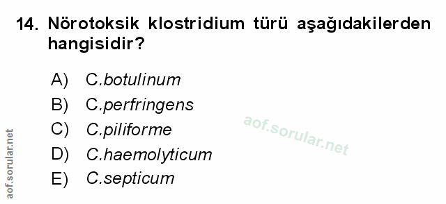 Soru 14