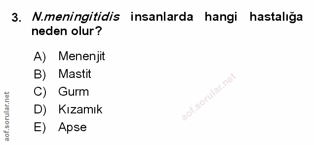 Soru 3