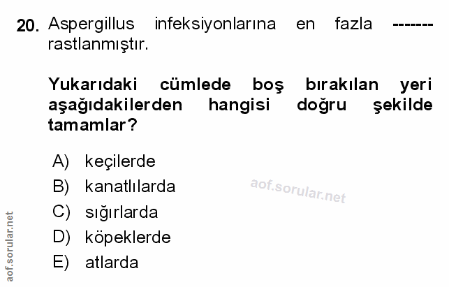 Soru 20