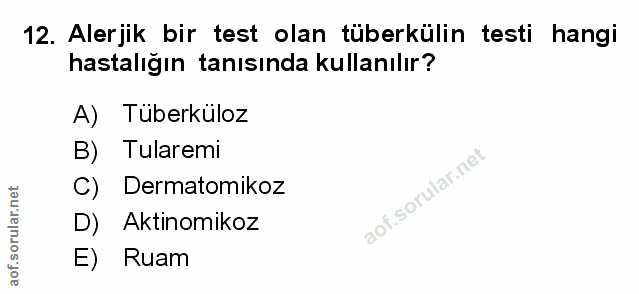 Soru 12