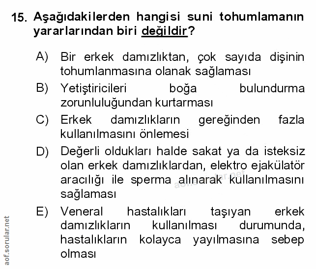 Soru 15
