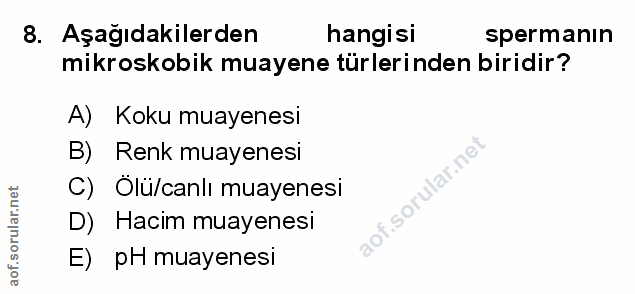 Soru 8