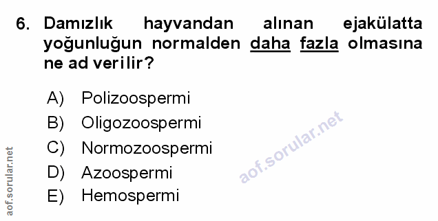 Soru 6