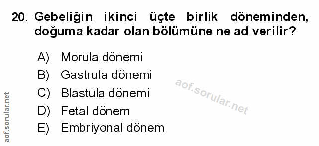 Soru 20