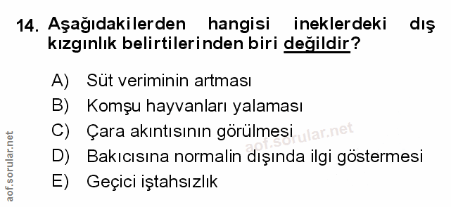 Soru 14