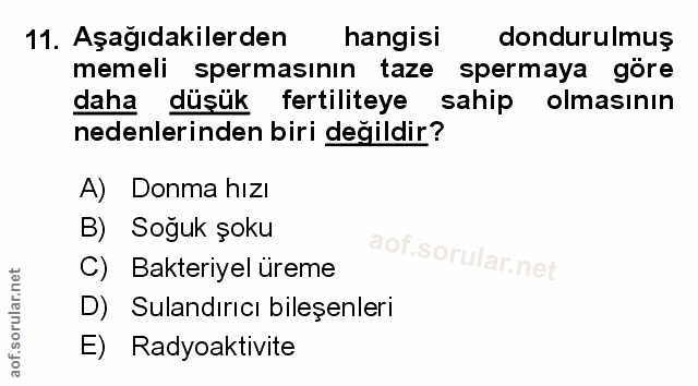 Soru 11