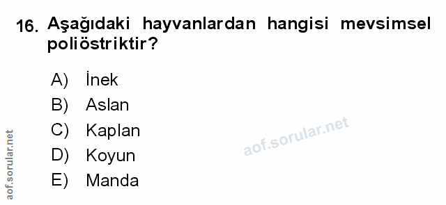 Soru 16