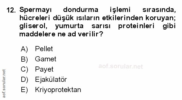 Soru 12