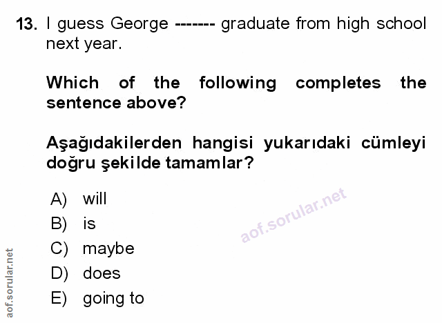 Soru 13