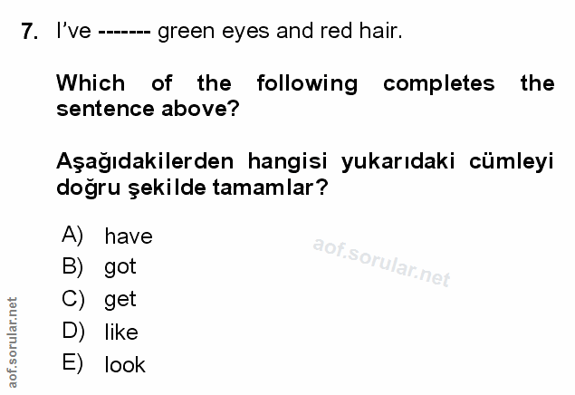 Soru 7