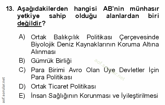 Soru 13