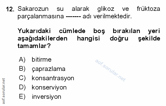 Soru 12