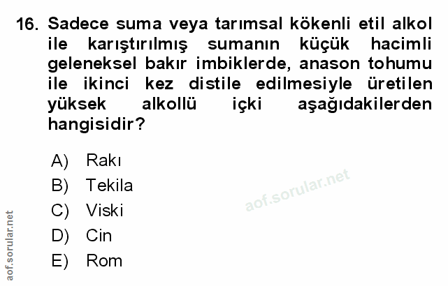 Soru 16