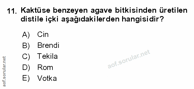 Soru 11