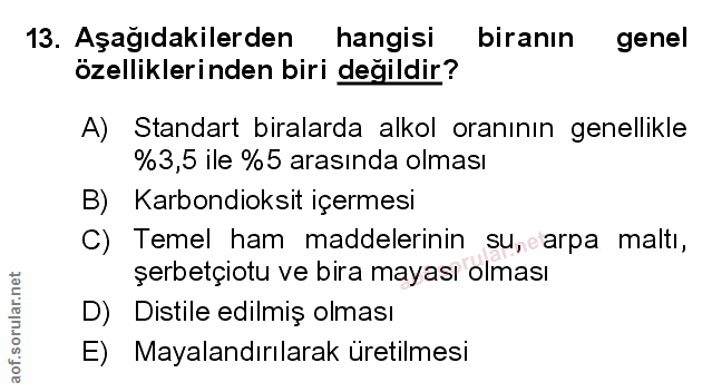 Soru 13