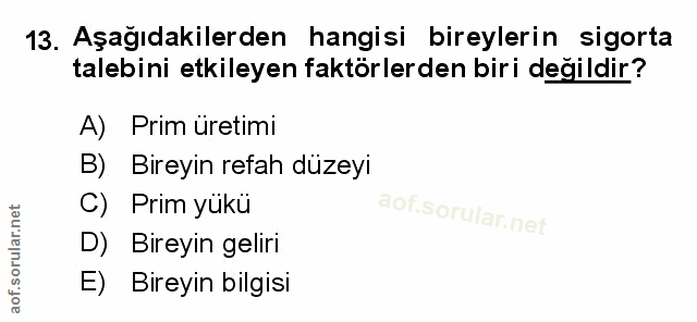 Soru 13
