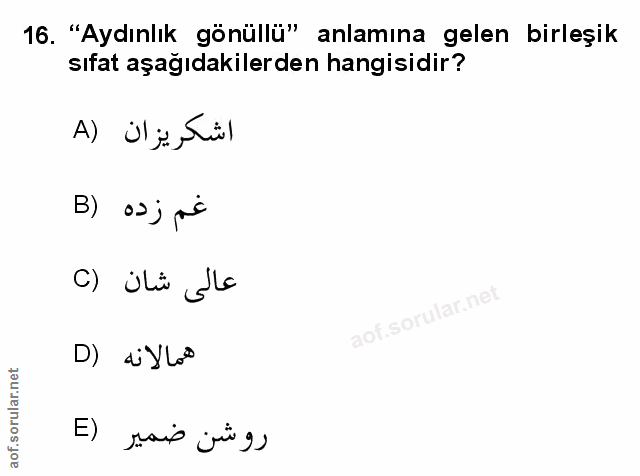 Soru 16