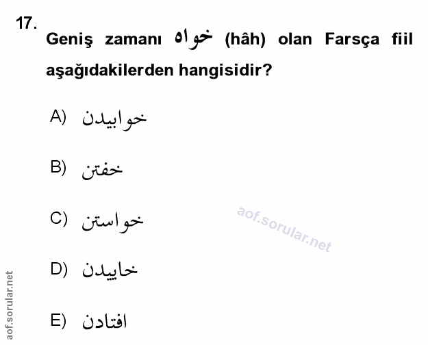 Soru 17