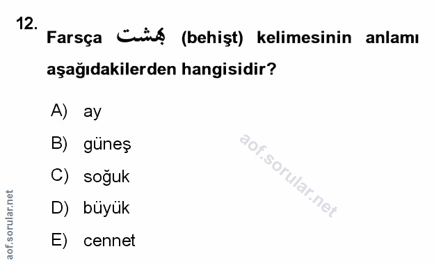 Soru 12