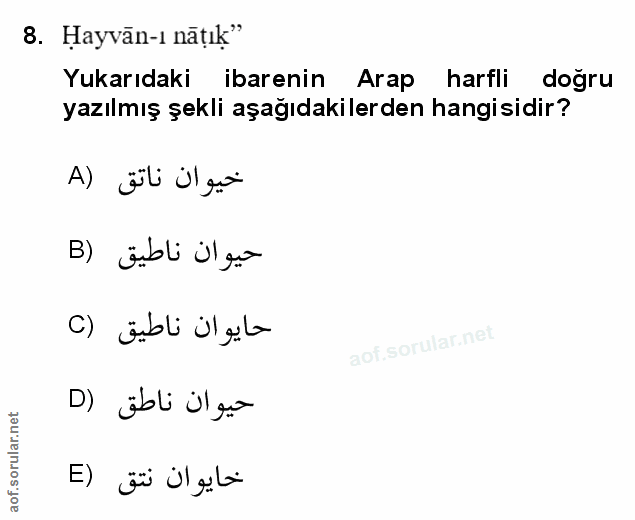 Soru 8