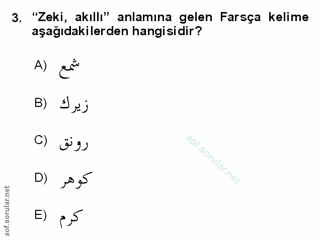 Soru 3