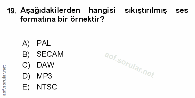 Soru 19
