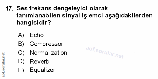 Soru 17