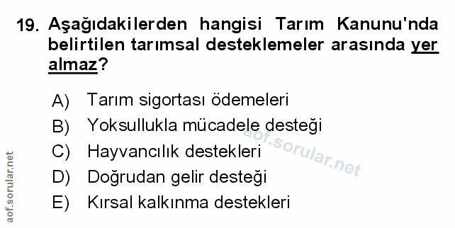 Soru 19