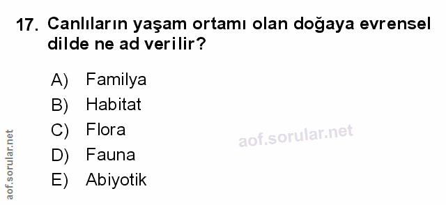 Soru 17