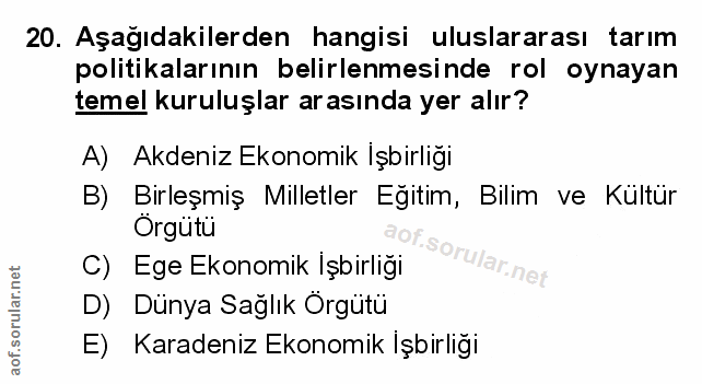 Soru 20