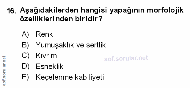 Soru 16