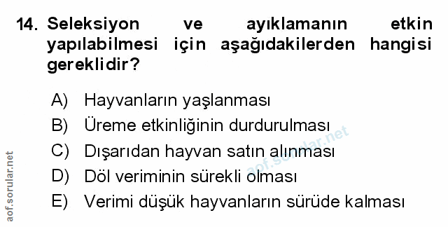 Soru 14