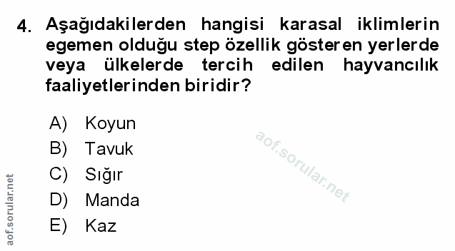 Soru 4