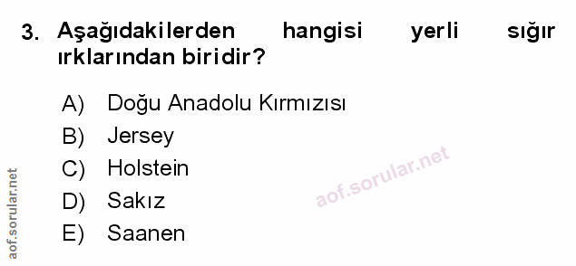 Soru 3