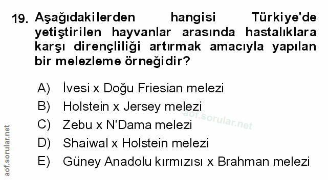 Soru 19