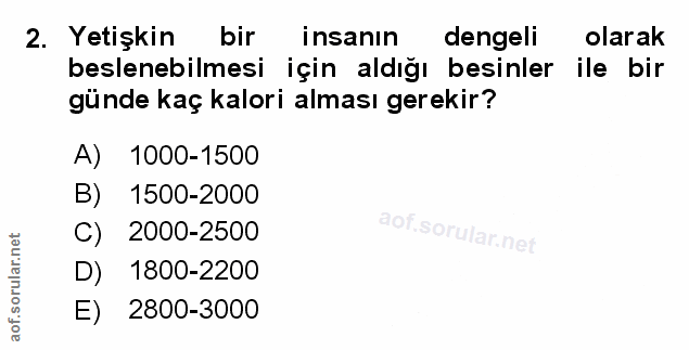 Soru 2