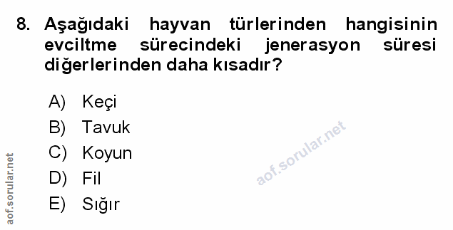 Soru 8