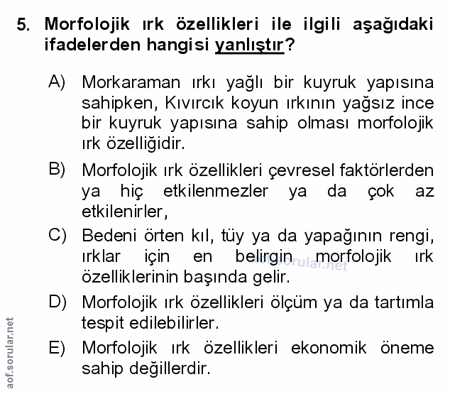 Soru 5