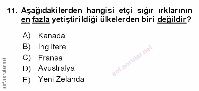 Soru 11