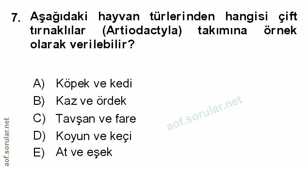 Soru 7