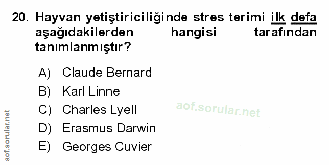 Soru 20