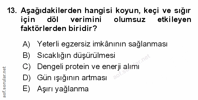 Soru 13