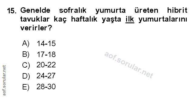 Soru 15