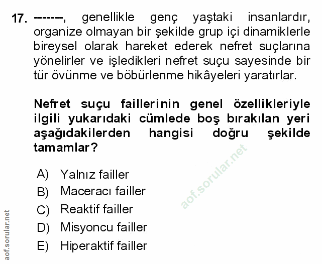 Soru 17