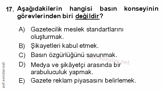 Soru 17