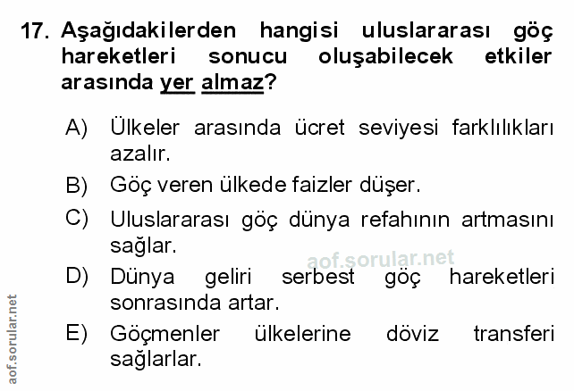 Soru 17